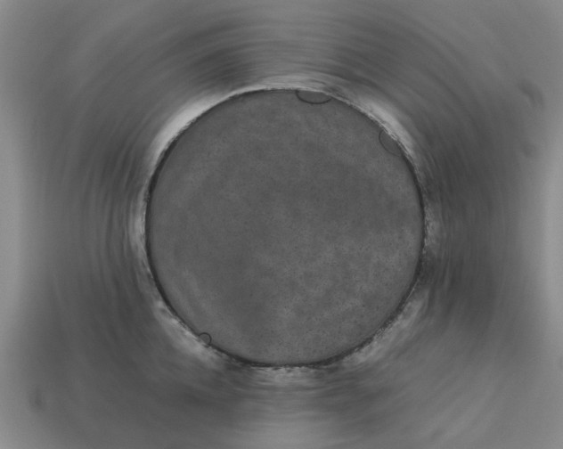 X0000113240952200910011323