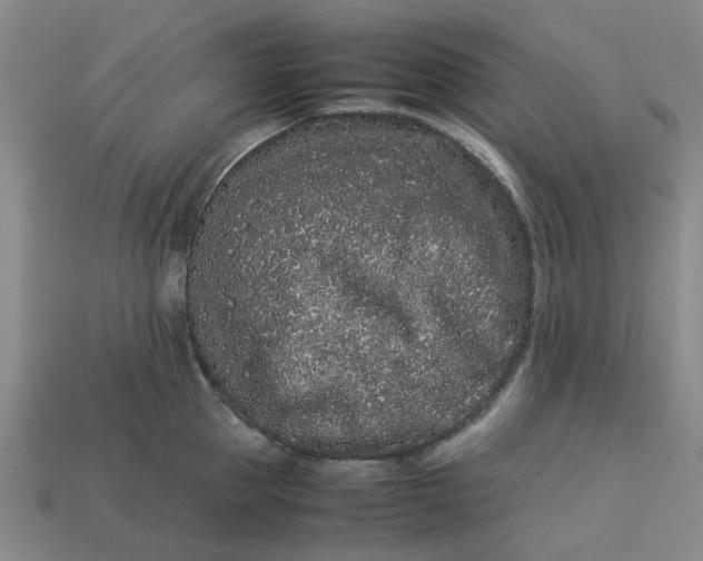 X0000113240953200910011323