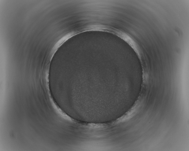 X0000113240954200910011323