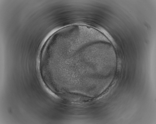 X0000113240955200910011323