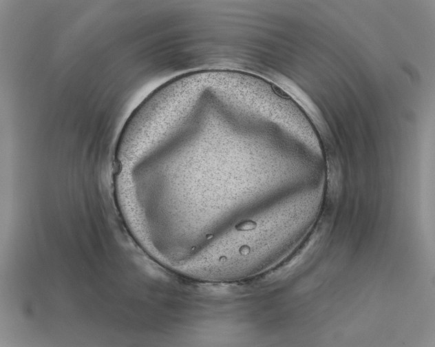 X0000113240956200910011323