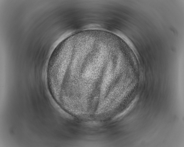 X0000113240957200910011323