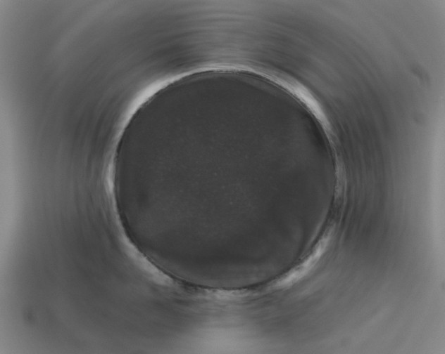 X0000113240958200910011323