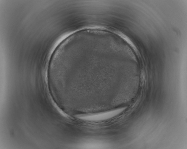 X0000113240959200910011323