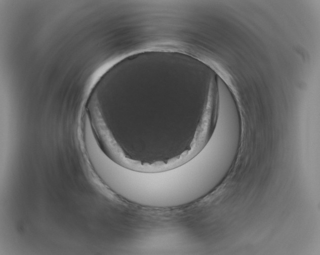 X0000113240960200910011323