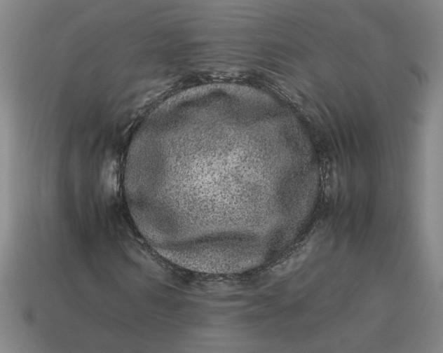 X0000113240962200910011323