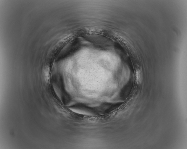 X0000113240963200910011323