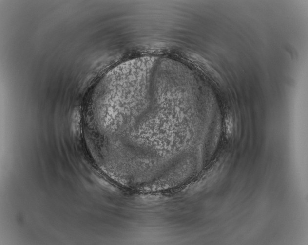 X0000113240964200910011323