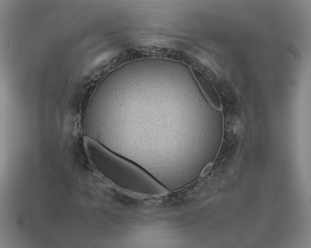 X0000113240965200910011323