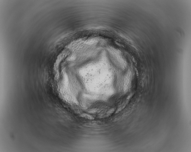 X0000113240966200910011323