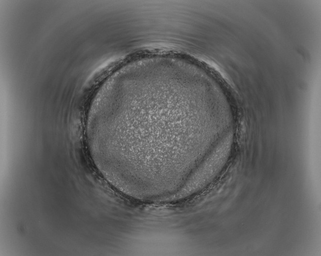 X0000113240967200910011323