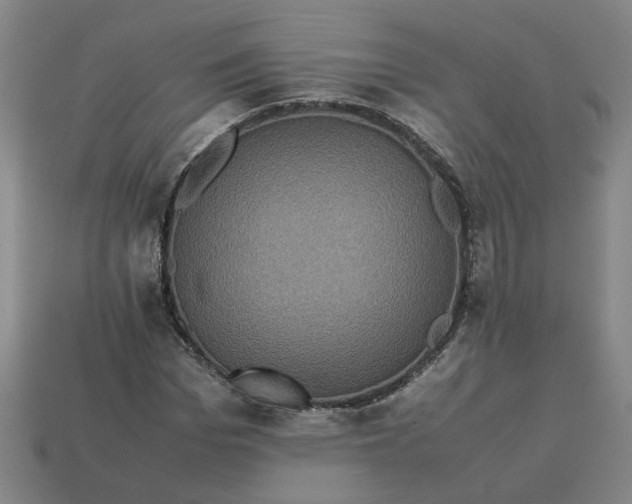 X0000113240969200910011323