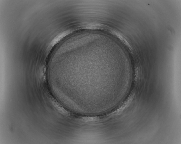 X0000113240970200910011323