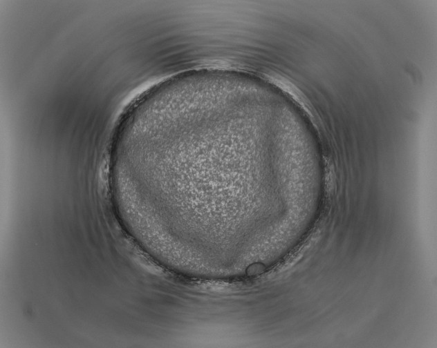 X0000113240971200910011323