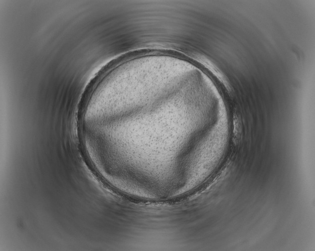 X0000113240972200910011323