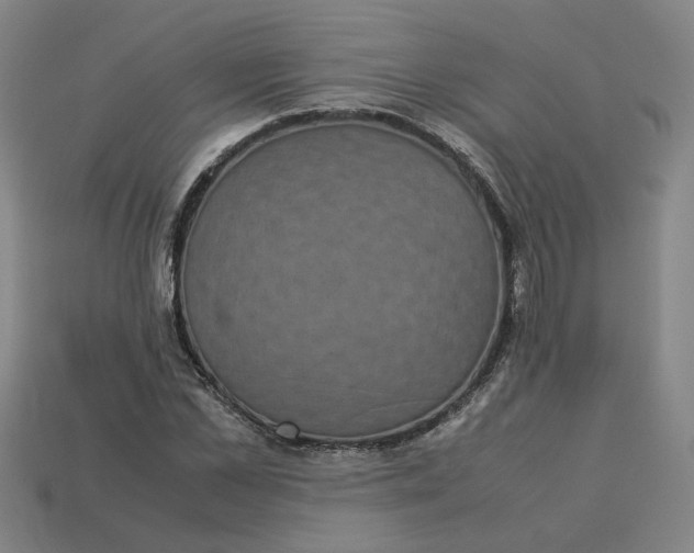 X0000113240973200910011323