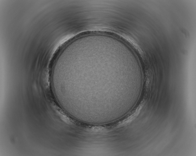 X0000113240974200910011323