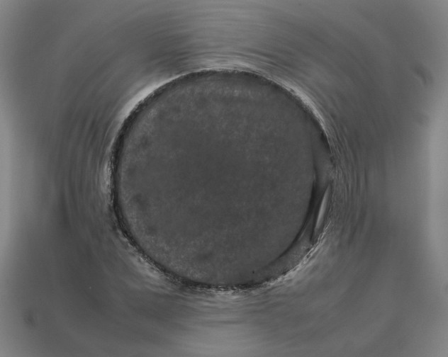 X0000113240975200910011323