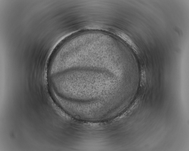 X0000113240976200910011323