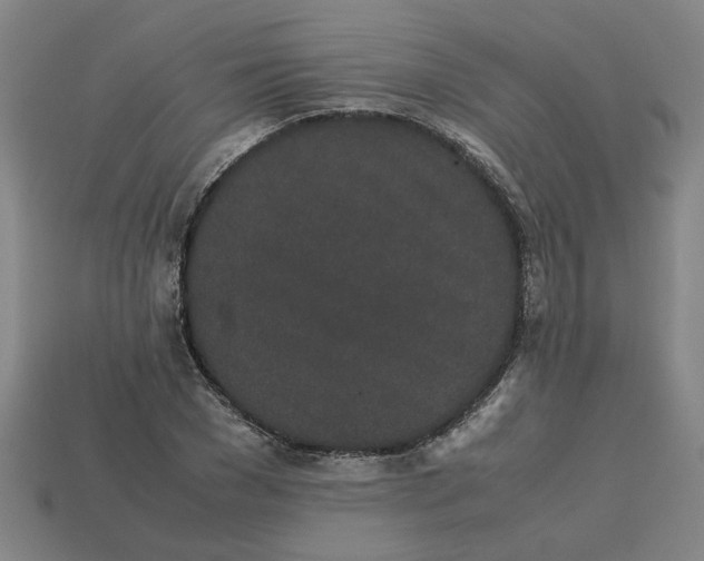 X0000113240977200910011323