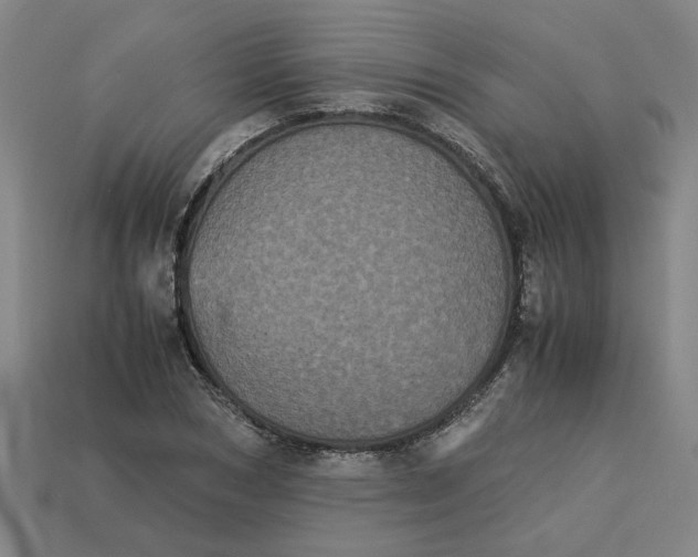 X0000113240978200910011322