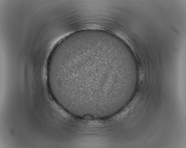 X0000113240979200910011322