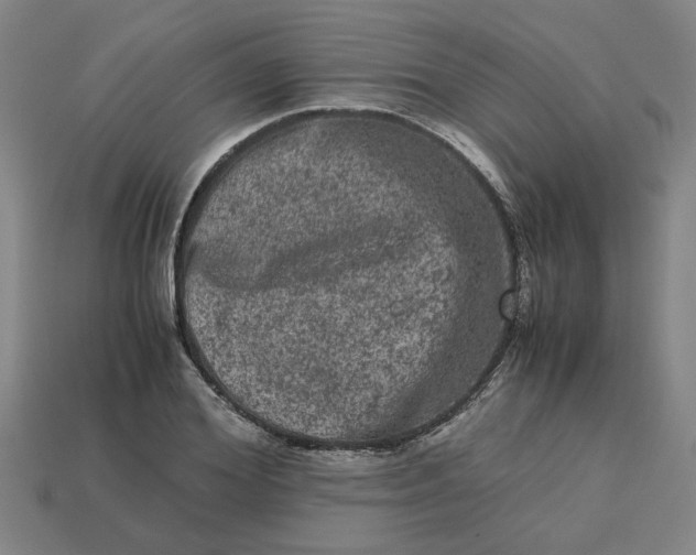 X0000113240980200910011322