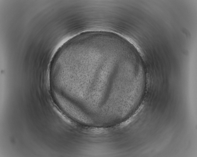 X0000113240982200910011322