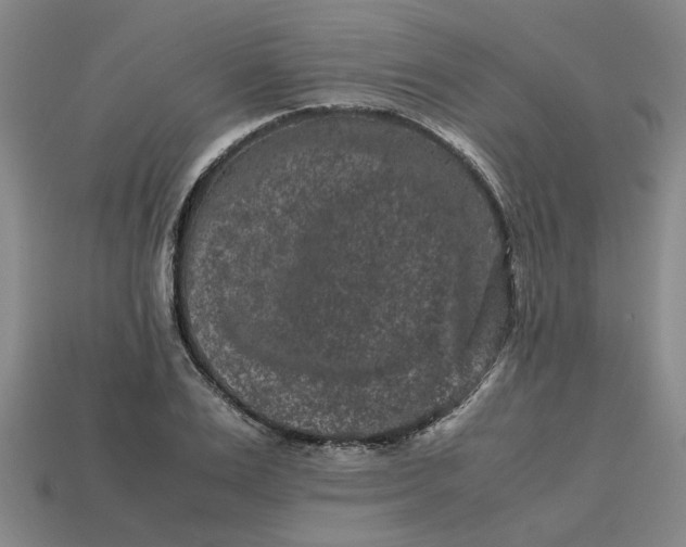 X0000113240983200910011322