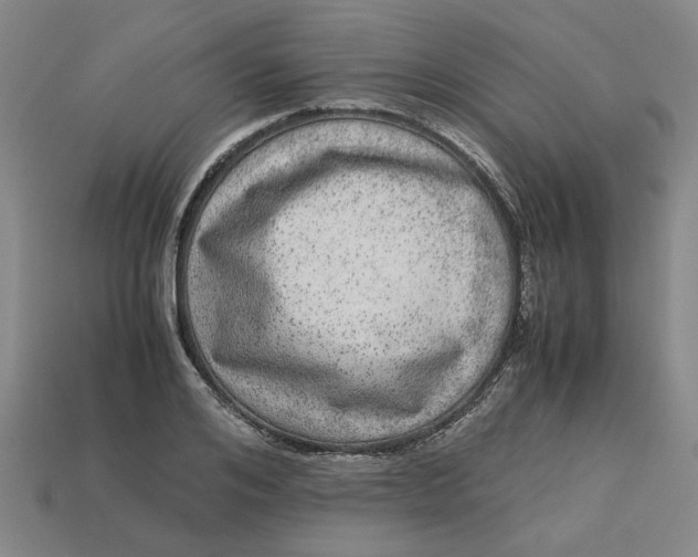 X0000113240984200910011322