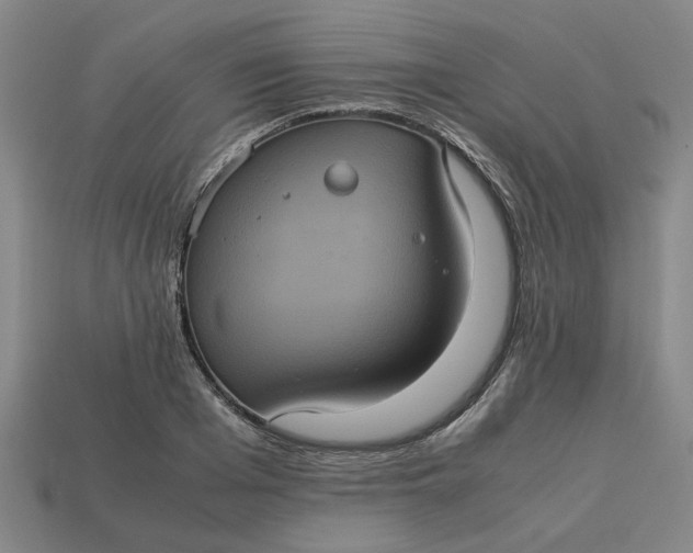 X0000113240985200910011322