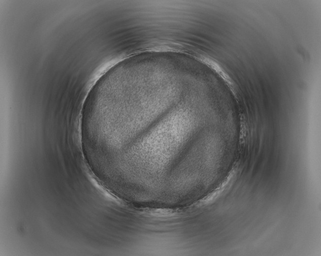 X0000113240986200910011322