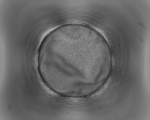 X0000113240987200910011322