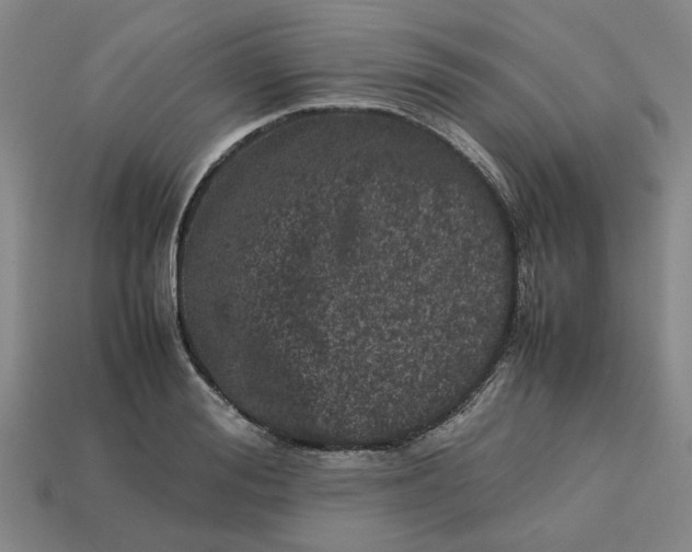 X0000113240988200910011322