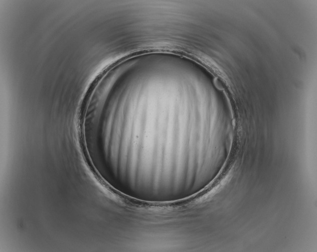 X0000113240989200910011322