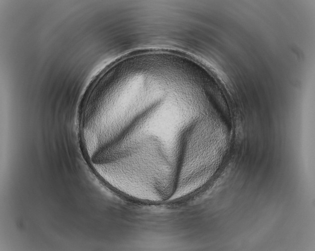 X0000113240990200910011322