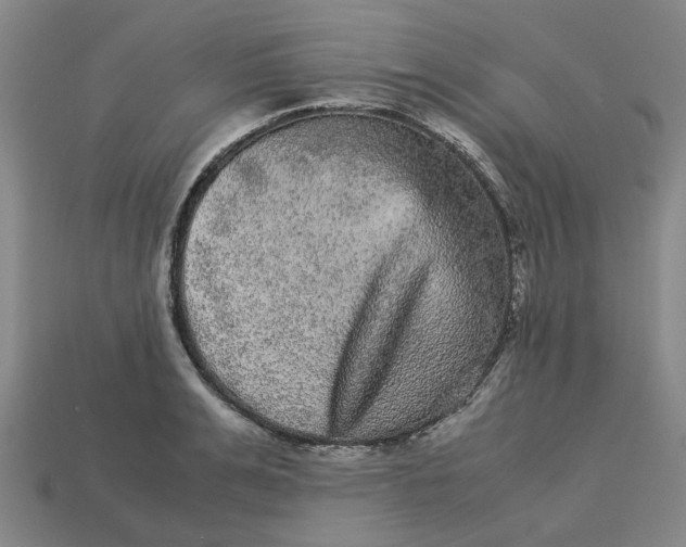 X0000113240991200910011322