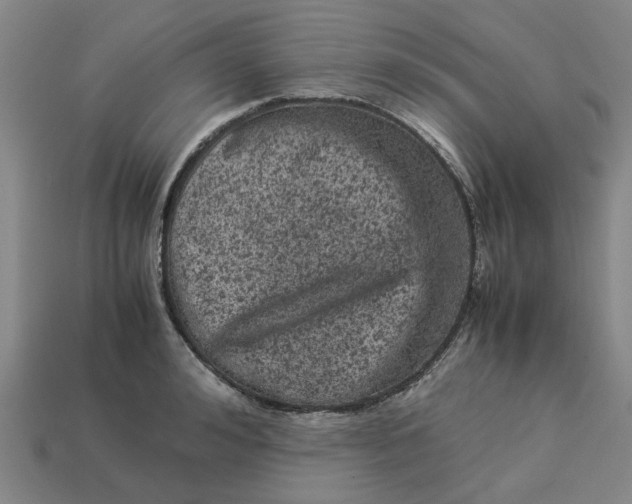 X0000113240992200910011322