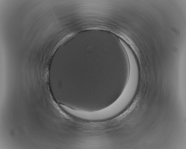 X0000113240993200910011322