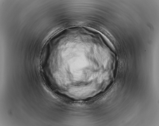 X0000113240994200910011322