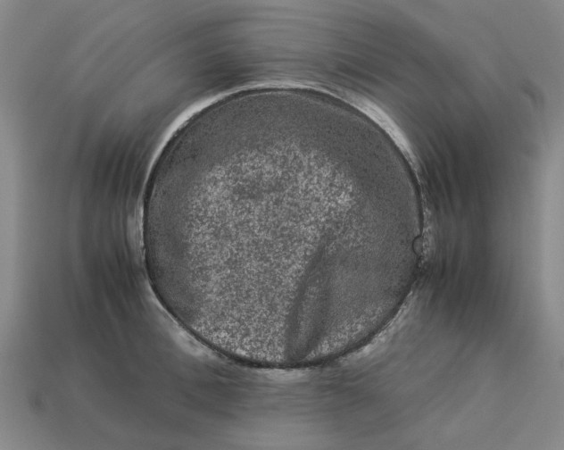 X0000113240996200910011322