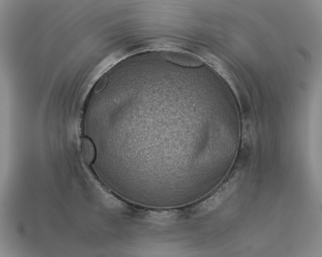 X0000113240997200910011322