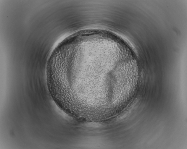 X0000113240998200910011322