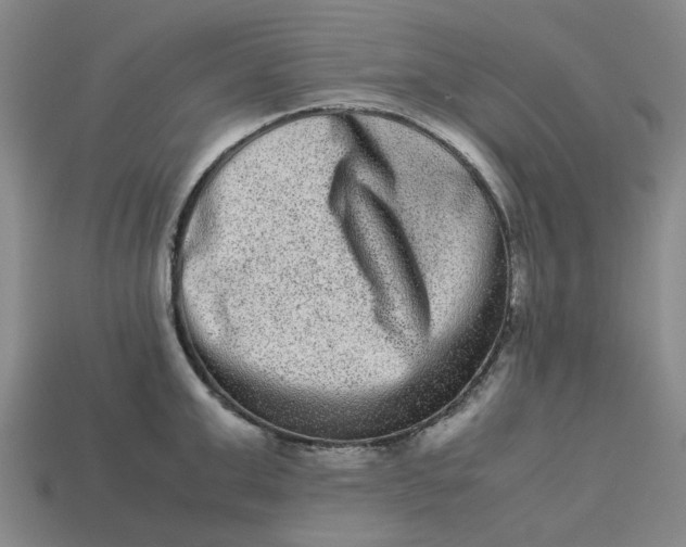 X0000113240999200910011322