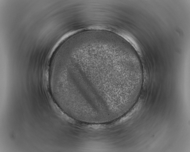 X0000113241000200910011322