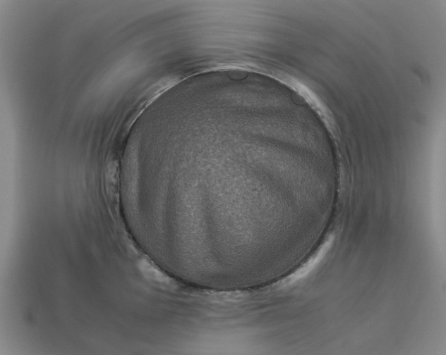 X0000113241001200910011322