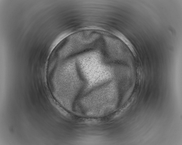 X0000113241002200910011322