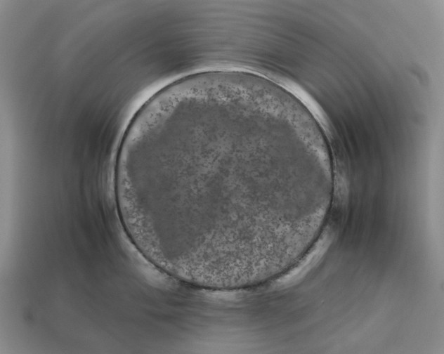 X0000113241004200910011322