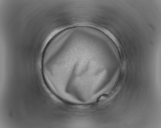 X0000113241005200910011322