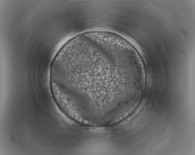 X0000113241006200910011322